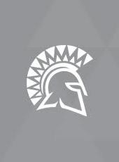 Grey Spartan head place holder image for Bonnie Belshe